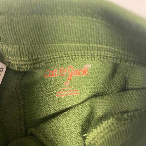 Cat & Jack Green Dinosaur Joggers - Picture 3 of 6